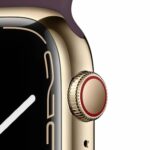 Apple Watch Series 7 + Cellular, Smartwatch - Edelstahlgehäuse