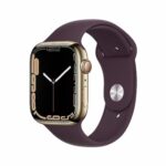 Apple Watch Series 7 + Cellular, Smartwatch - Edelstahlgehäuse