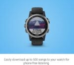 Garmin Fenix 5S Plus 42mm Argent