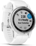 Garmin Fenix 5S Plus 42mm Noir, Blanc, Rose Gold