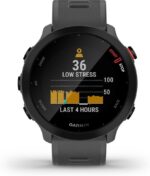 Garmin Forerunner 55 42mm Gris