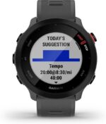 Garmin Forerunner 55 42mm Gris