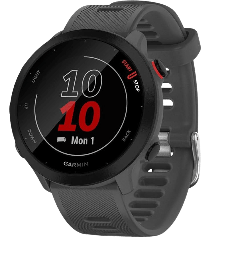 Montre Connectée : Garmin Forerunner 55 42mm Gris