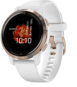 Garmin Venu 2S 40mm Blanc, Or rose